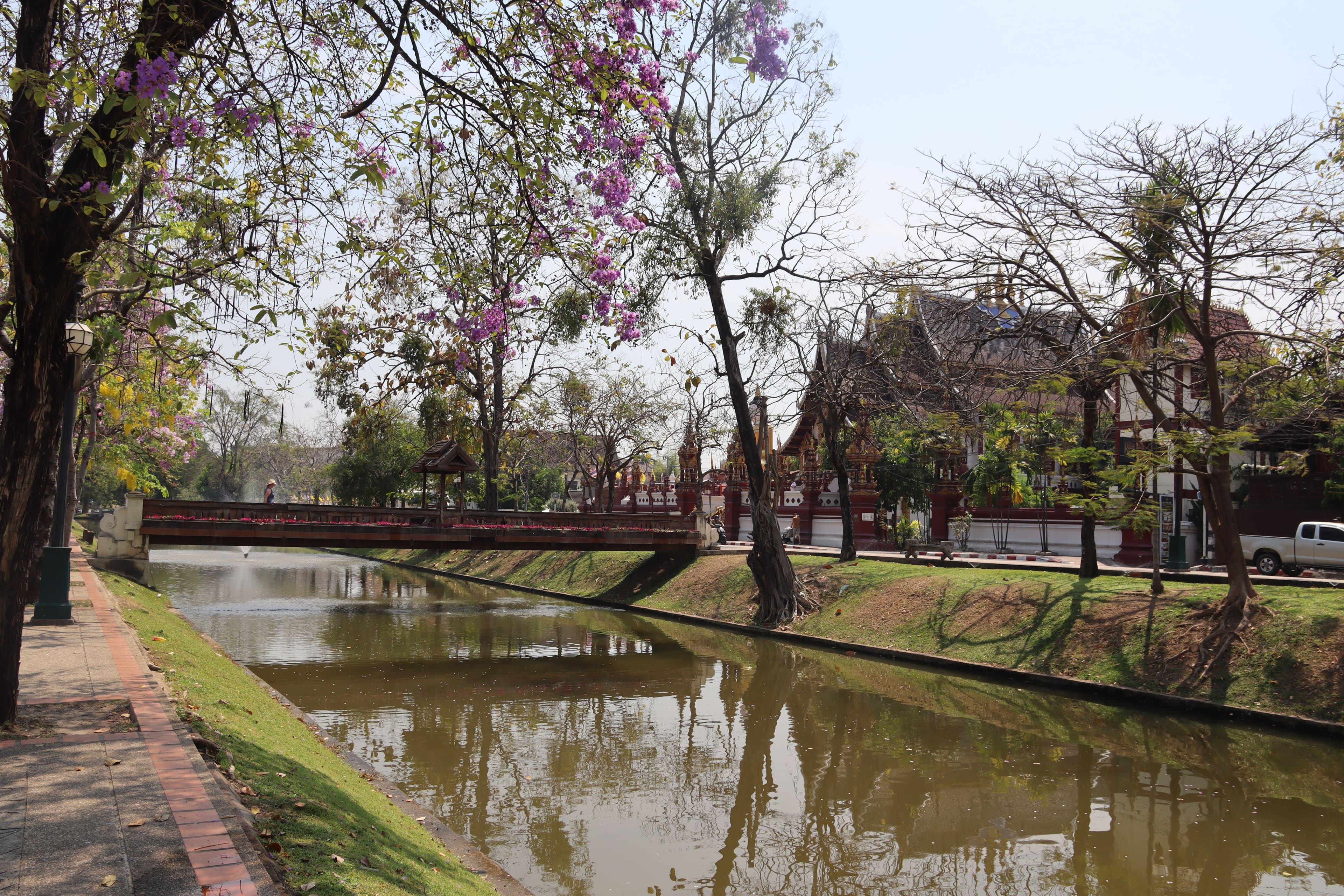 Trzy dni w Chiang Mai – świątynie, słonie i trekking po dżungli